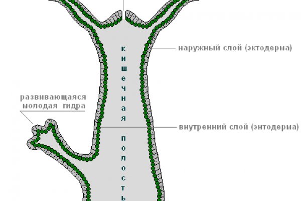 Кракен шоп нарк