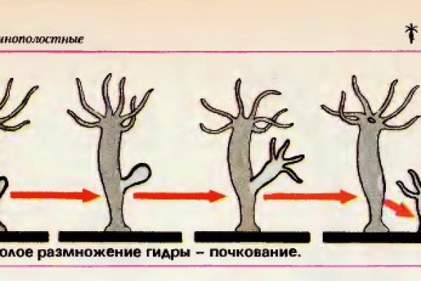 Рабочие ссылки и зеркала кракен