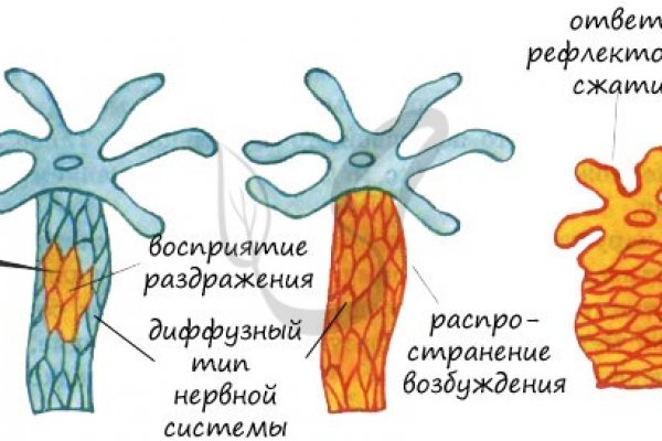 Кракен как попасть